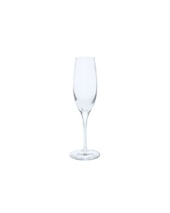 Champagne Flute