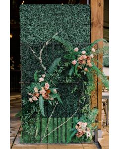 8 Foot Boxwood Hedge