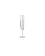 Modern Champagne Flute