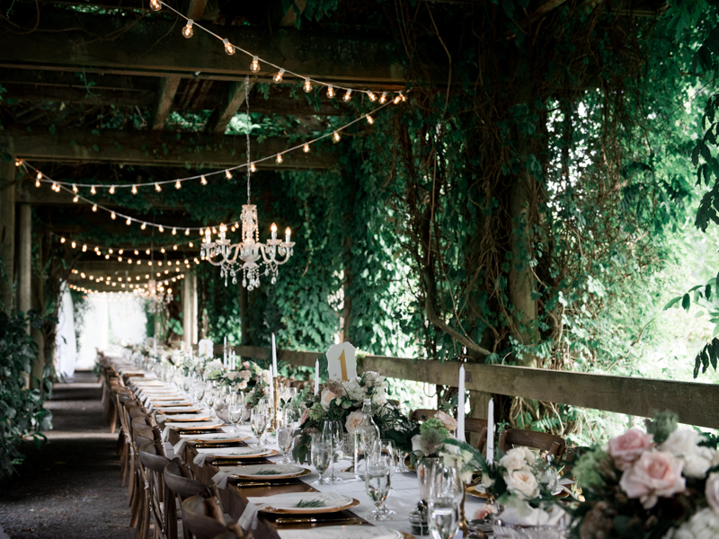 Dinner Under the Lights Dinner Under the Lights